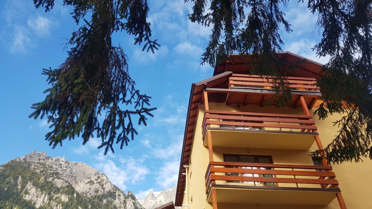 Apartament Lexannona Buşteni エクステリア 写真