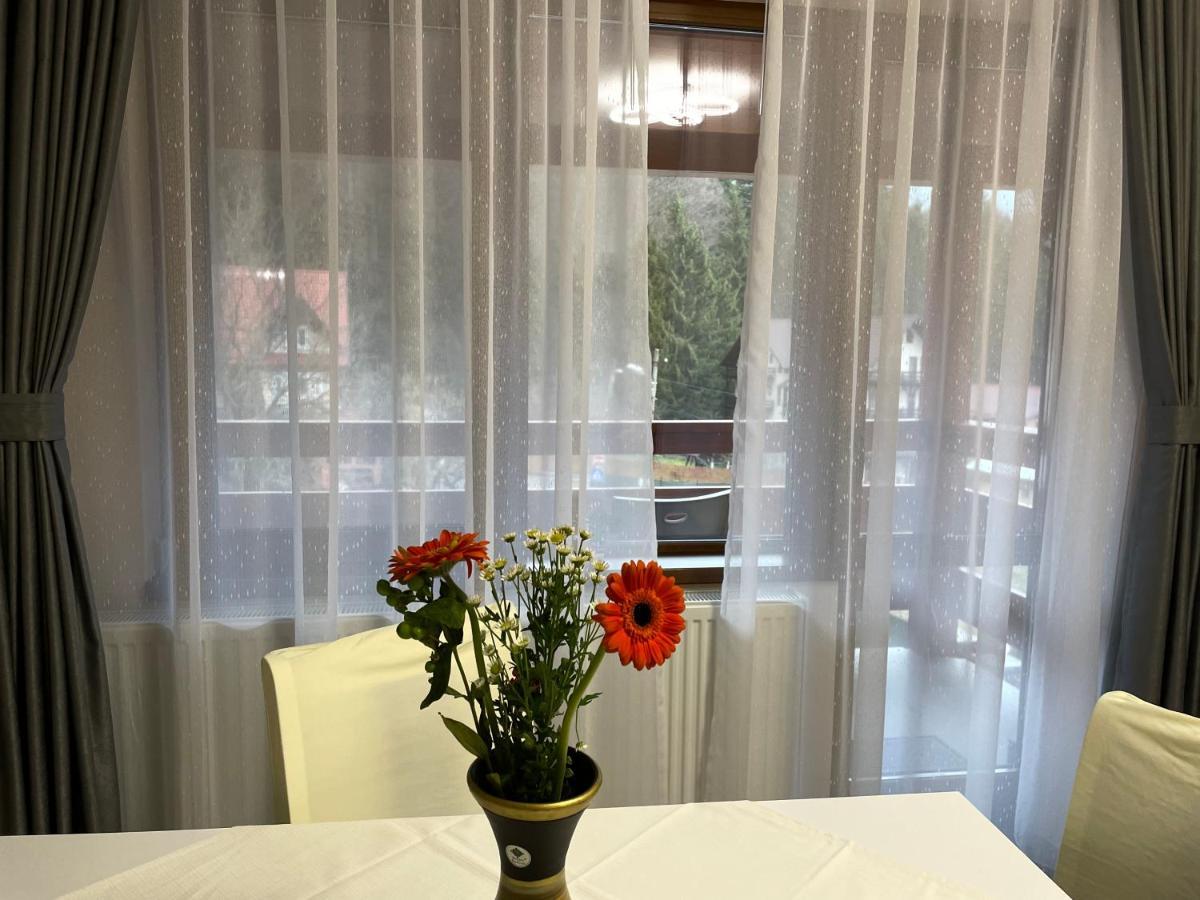 Apartament Lexannona Buşteni エクステリア 写真
