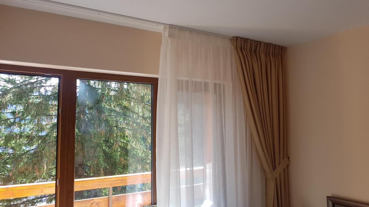 Apartament Lexannona Buşteni エクステリア 写真