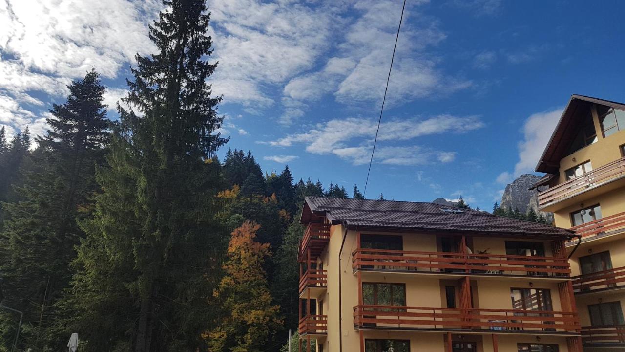 Apartament Lexannona Buşteni エクステリア 写真