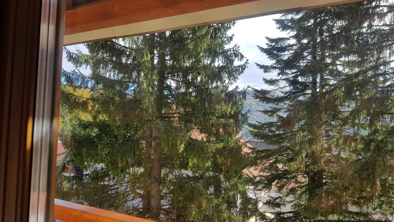 Apartament Lexannona Buşteni エクステリア 写真