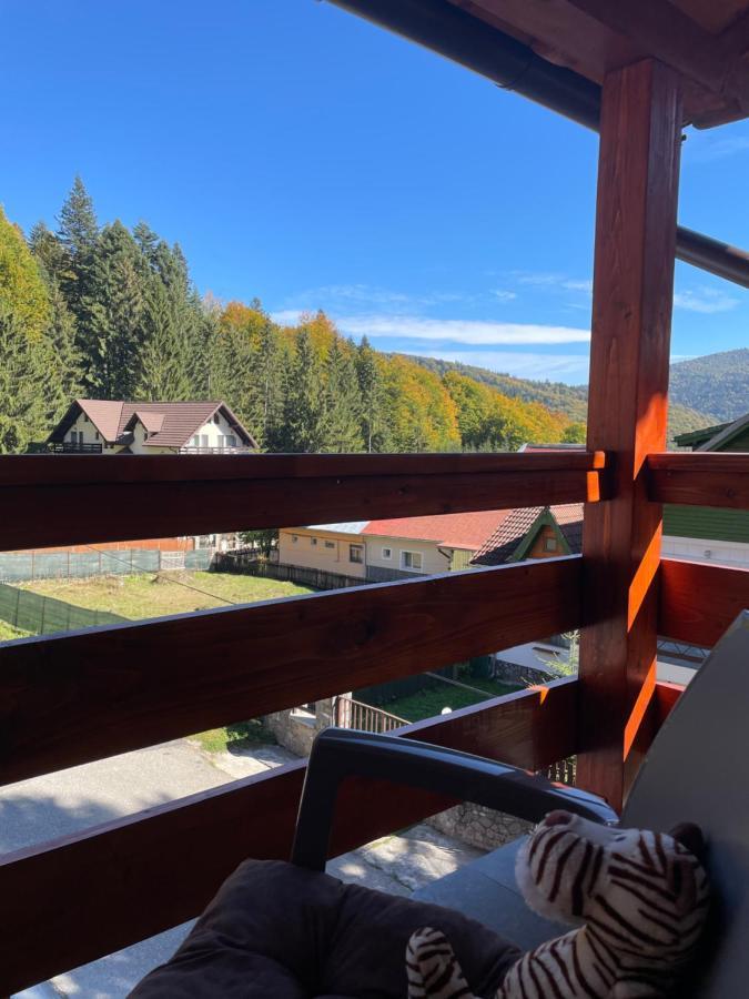 Apartament Lexannona Buşteni エクステリア 写真