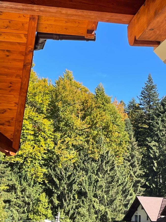 Apartament Lexannona Buşteni エクステリア 写真