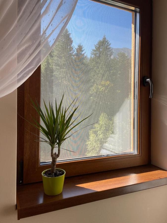 Apartament Lexannona Buşteni エクステリア 写真