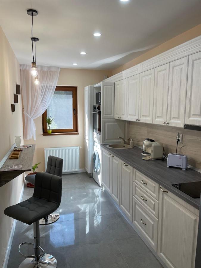 Apartament Lexannona Buşteni エクステリア 写真
