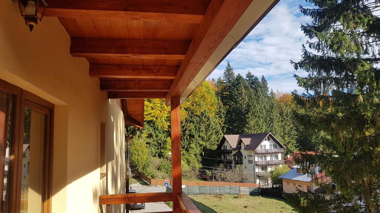 Apartament Lexannona Buşteni エクステリア 写真