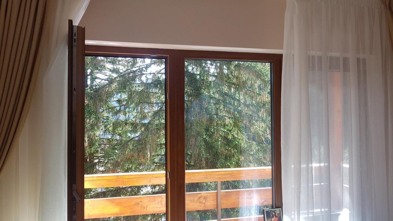 Apartament Lexannona Buşteni エクステリア 写真