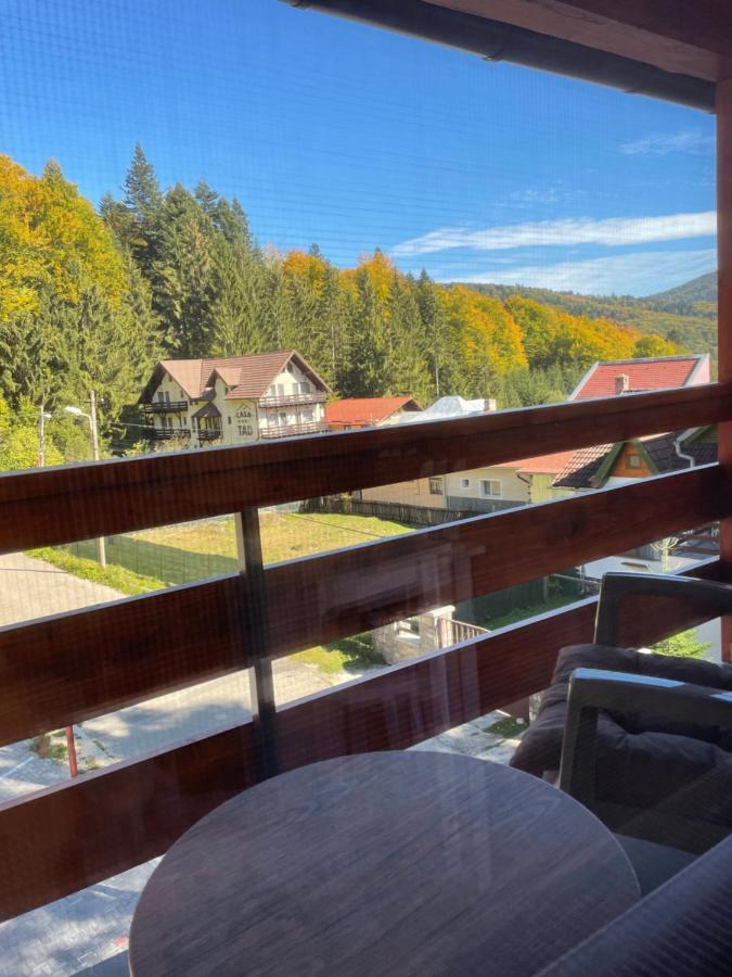 Apartament Lexannona Buşteni エクステリア 写真